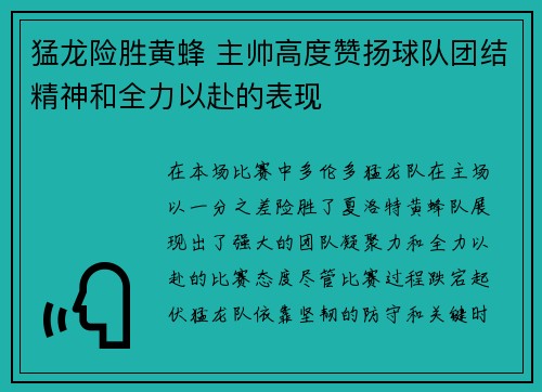 猛龙险胜黄蜂 主帅高度赞扬球队团结精神和全力以赴的表现